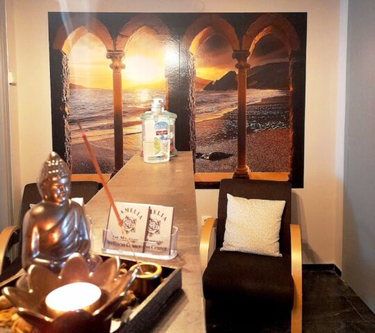 Camelia Art Massage Wellness Center