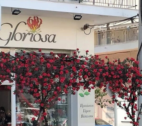 Gloriosa