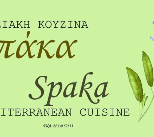 ΣΠΑΚΑ – SPAKA