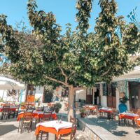 ΔΑΣΚΑΛΑΚΗΣ ΝΙΚΟΣ