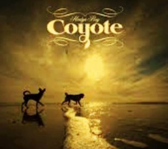 Coyote Beer Restaurant