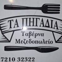 ΔΗΜΗΤΡΑ ΤΣΩΝΗ