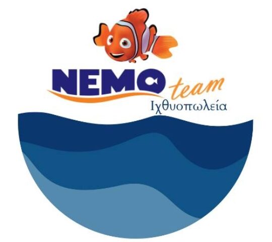 NEMO TEAM