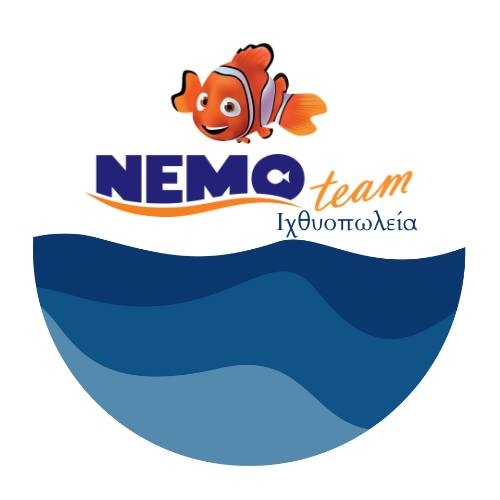 NEMO TEAM