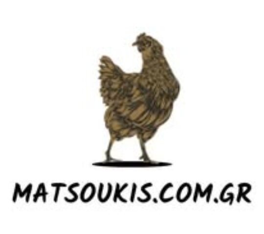 ΜΑΤΣΟΥΚΗΣ ΚΟΤΟΠΟΥΛΑ