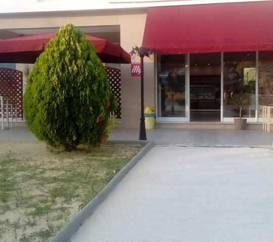 BreadHouse Bakery