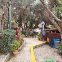 ΔΗΜΗΤΡΙΟΣ ΓΚΟΓΚΟΡΩΣΗΣ