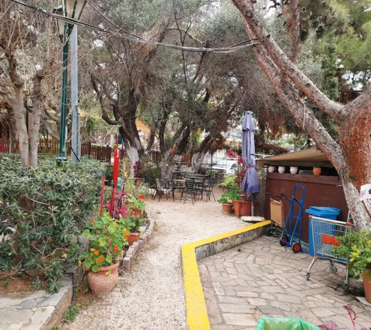 Καφετέρια Άλσους Κιντή