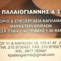 Νικόλαος Παλαιογιάννης