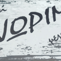 ΕΥΣΤΑΘΙΟΣ ΠΛΑΙΤΗΣ