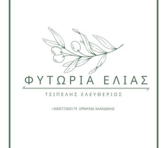 ΦΥΤΩΡΙΑ ΕΛΙΑΣ ΤΣΙΠΕΛΗΣ ΕΛΕΥΘΕΡΙΟΣ