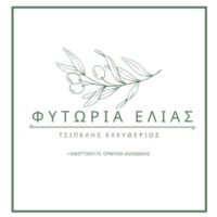 ΕΛΕΥΘΕΡΙΟΣ ΤΣΙΠΕΛΗΣ