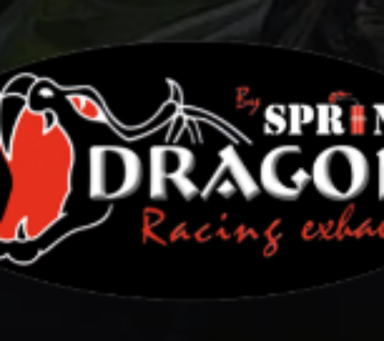 Dragon Exhaust