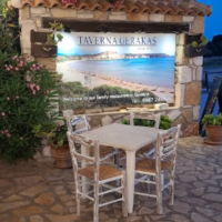 ΣΠΥΡΟΣ ΒΑΡΔΑΚΑΣΤΑΝΗΣ